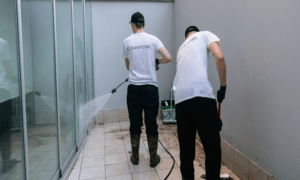 Curățenie generală de primăvară: curatenie ferestrelor