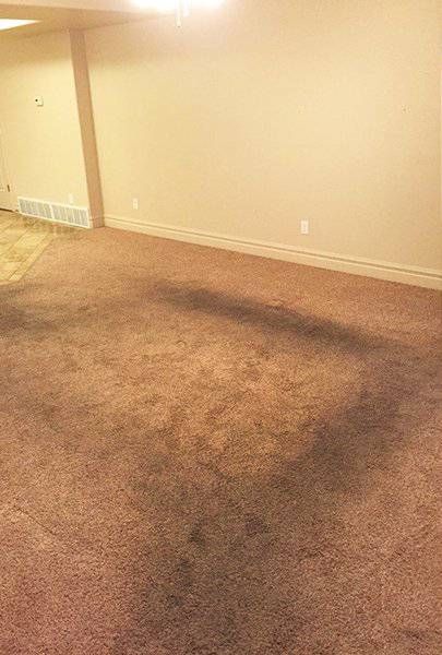 Чистка ковра До