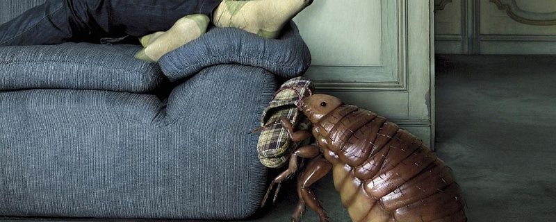 услуга уничтожению клопов